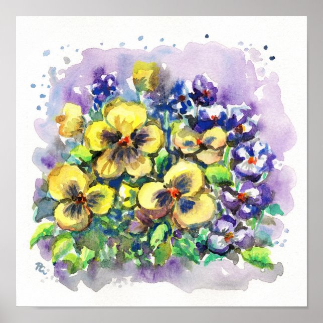 Poster Primavera Pansies (Frente)