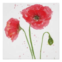 Primavera Poppies