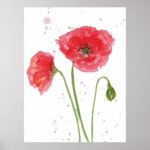 Poster Primavera Poppies
