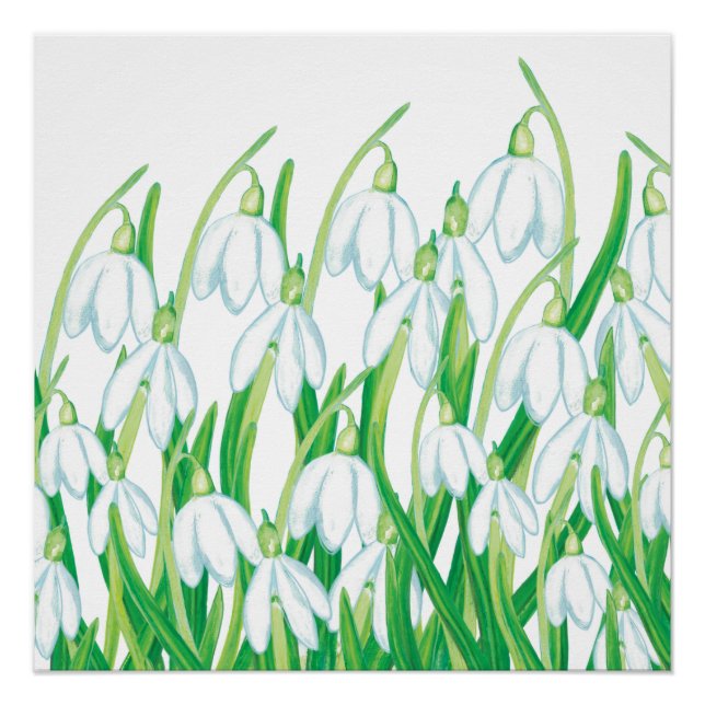 Póster Primavera Snowdrops (Frente)
