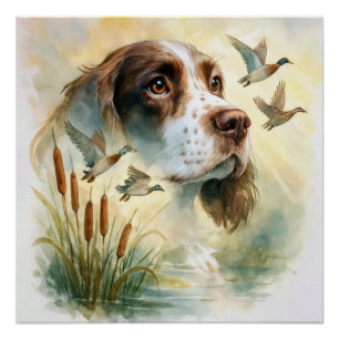 Póster Primavera Spaniel e Mallard Ducks em dupla exposiç