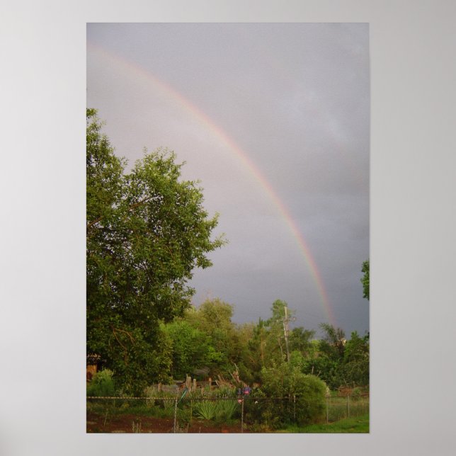 Póster Primavera tarde (Frente)