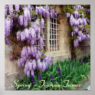 POSTER - primavera - Tournon France