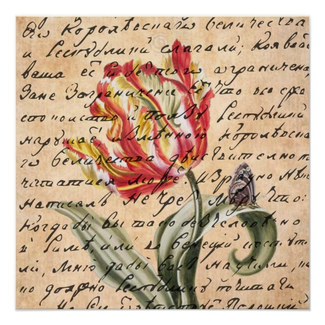 Póster Primavera Tulipas e manuscrito (Frente)