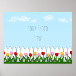 Poster Primavera Tulipas White Picket Fence Foto Personal