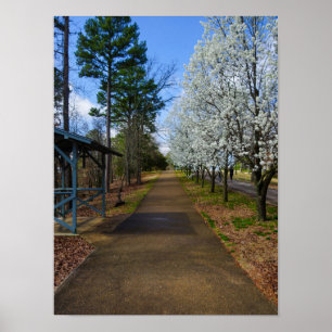 Póster Primavera Walk