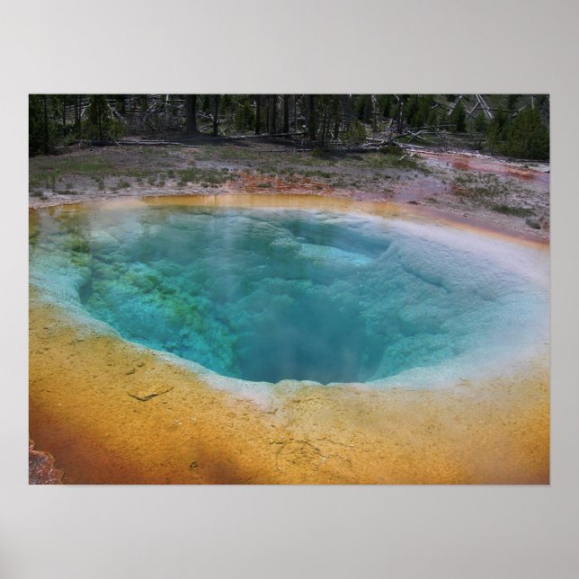 Póster Primaveras de beleza (Frente)