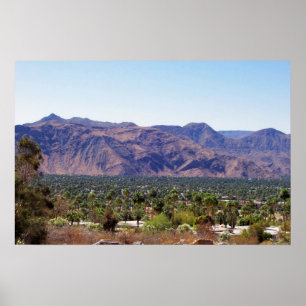 Póster primaveras de palma