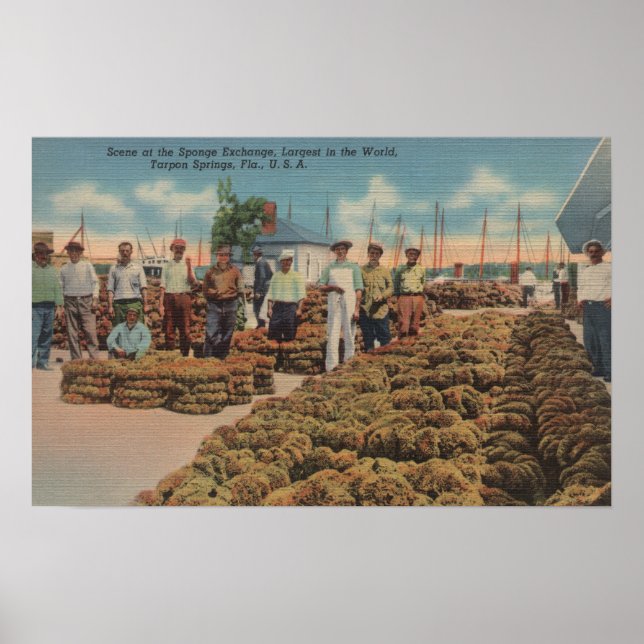 Póster Primaveras de Tarpon, FL - Cena de Troca de Esponj (Frente)