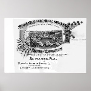 Póster Primaveras históricos de Suwannee, rio do suwanne