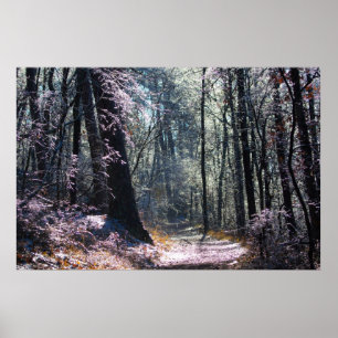 Poster Primaveras Quentes das Florestas de Gelo Rosa e Ve