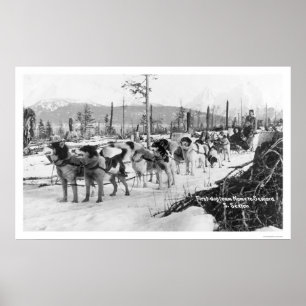 Póster Primeira equipe Alaska 1910 do cão