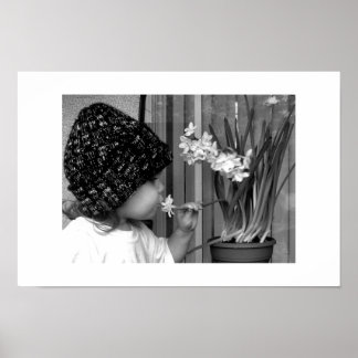 Poster Primeira Flor