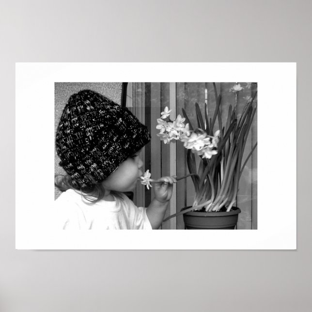 Poster Primeira Flor (Frente)