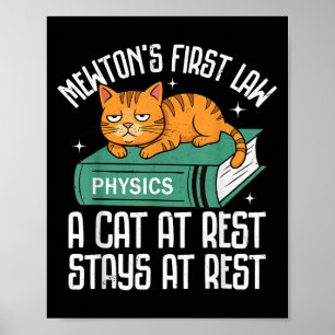 Poster Primeira Lei Engraçada Física de Gato Professores 