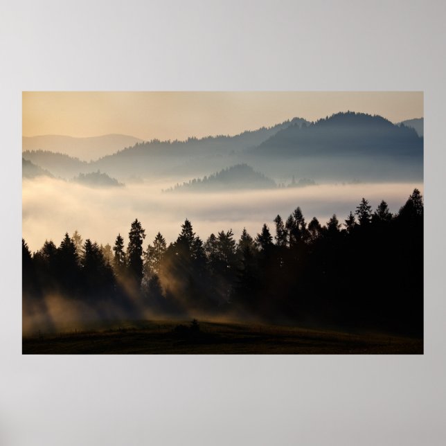 Póster Primeira Luz (Frente)