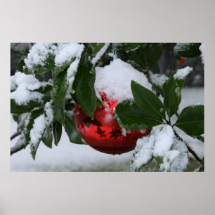 Póster primeira neve