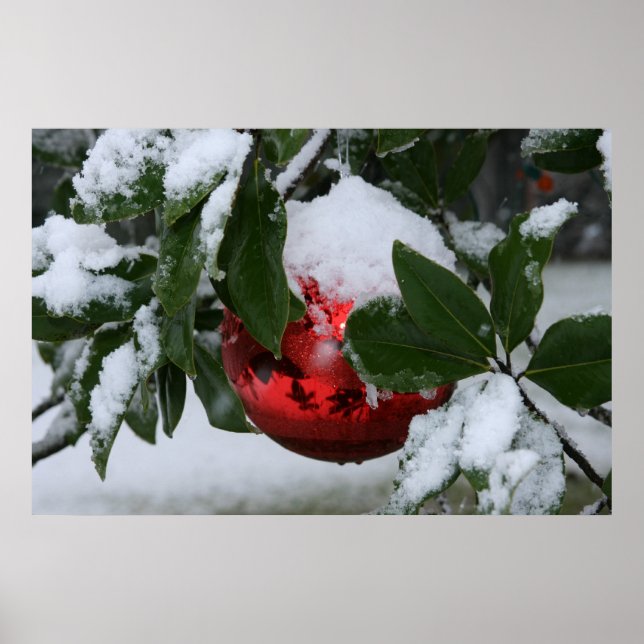 Póster primeira neve (Frente)