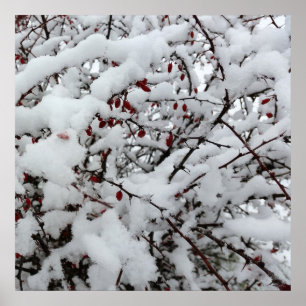 Poster primeira neve