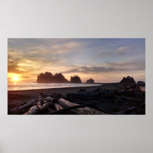 Poster Primeira praia no impulso Washington do La