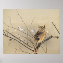 Primeiras Flores de Ameixa por Nishimura Goun, Cor