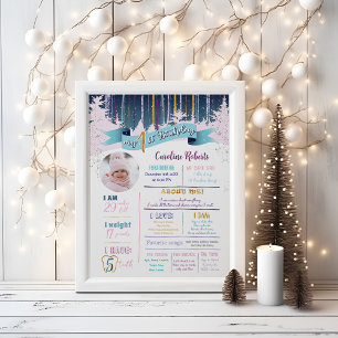 Poster Primeiro Aniversário Stats Winter Pink Blue Purple