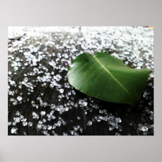 Poster Primeiro inverno