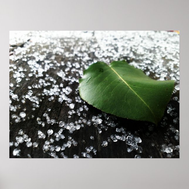 Poster Primeiro inverno (Frente)