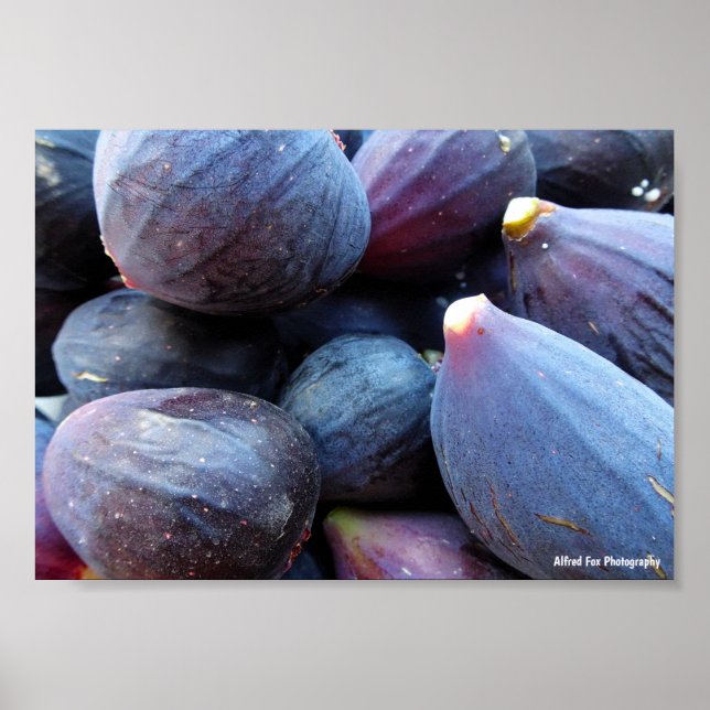 Poster Primeiro plano da fruta figo roxo (Frente)