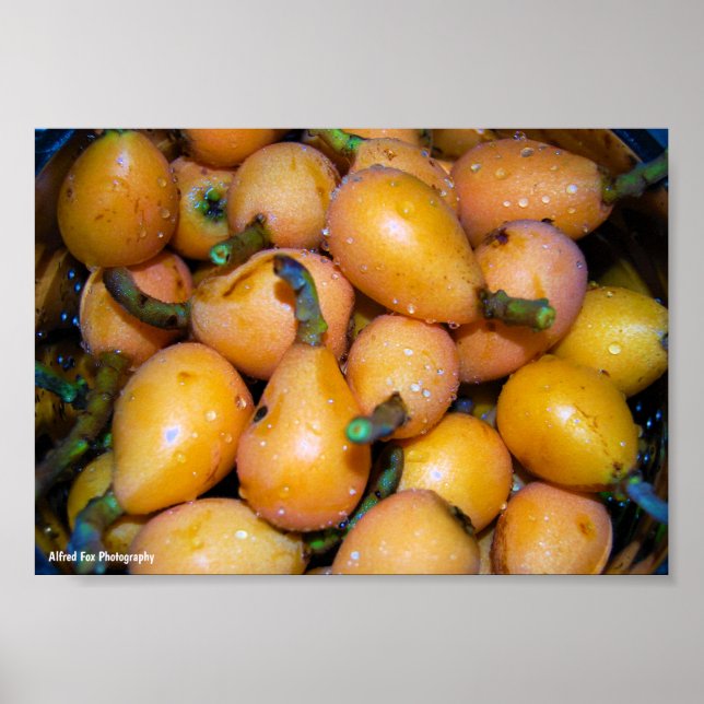 Poster Primeiro plano da fruta Nespola (Frente)