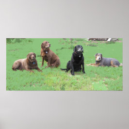 Poster Primeiro Quatro