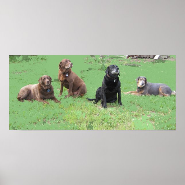 Poster Primeiro Quatro (Frente)