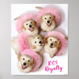Poster Princesa Cães em Tiaras