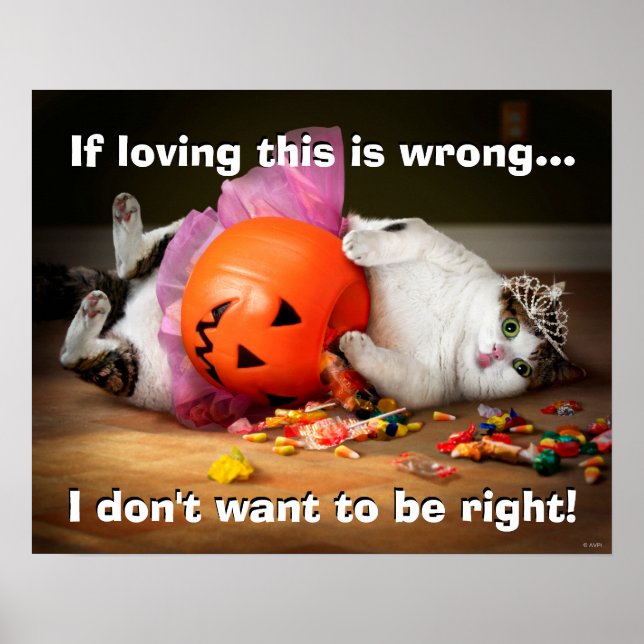 Poster Princesa Cat Com Balde De Doces (Frente)