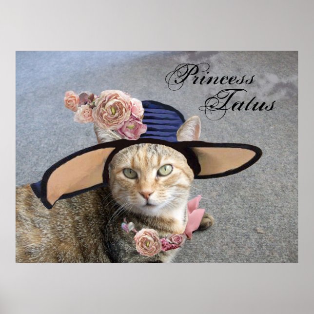 PÓSTER PRINCESA TATUS /GATA ELEGANTE,GRANDE CHAPÉU DE DIV (Frente)