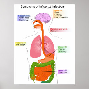 Poster Principais sintomas de um diagrama de infecção por