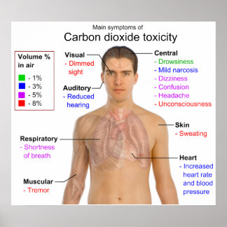 Póster Principais sintomas do gráfico de toxicidade do di