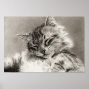 Poster principal do gato de racum do Sleepyhead