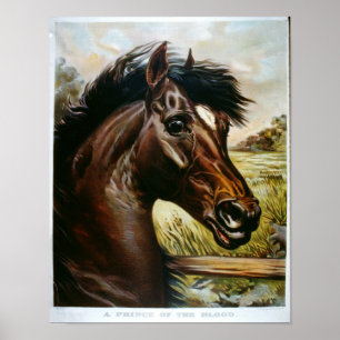 Póster Príncipe do Sangue