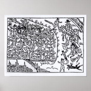 Poster Príncipe Rupert Hiding em um feijão