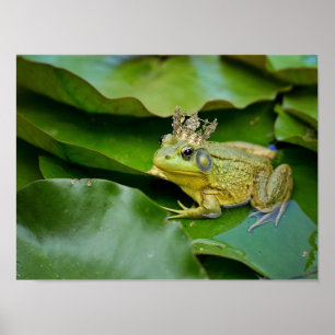 Poster Príncipe Sapo Coroado sobre Folha de Nenúfar