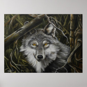 Poster Print of Watchful Eyes Wolf Picture
