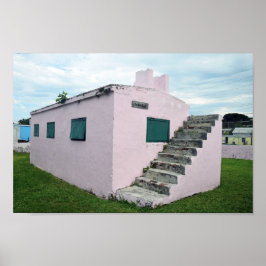 Poster Prisão cor-de-rosa das Bahamas, Tartaruga Verde