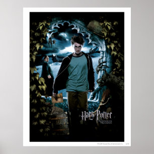 Poster Prisioneiro de Azkaban - Francês 3