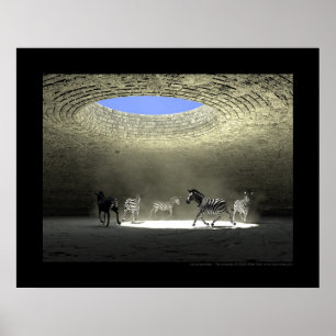 Póster Prisonniers de Les - prisioneiros