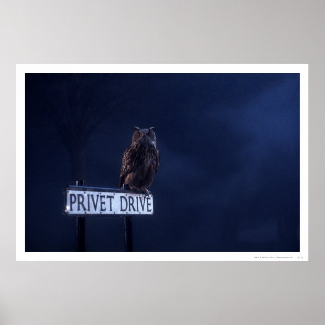 Poster Privet Drive (Frente)