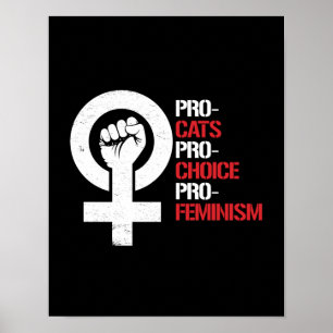 Póster Pro-Feminismo da Pro-Escolha dos Pro-Gatos -- 