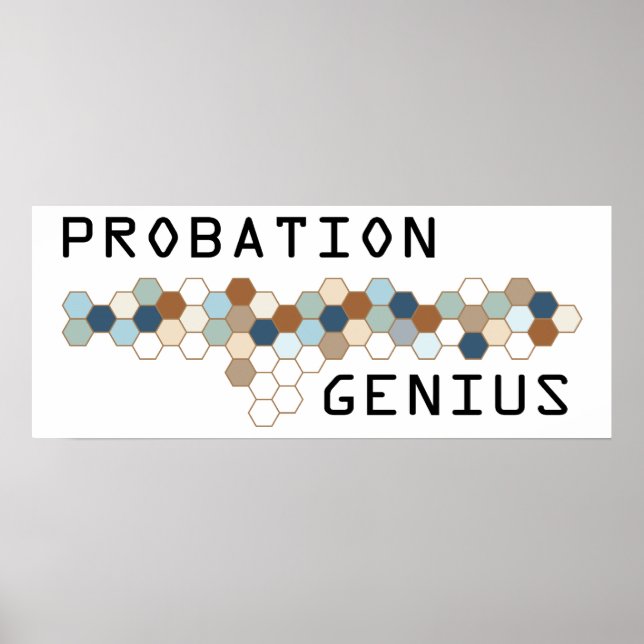 Póster Probation Genius (Frente)