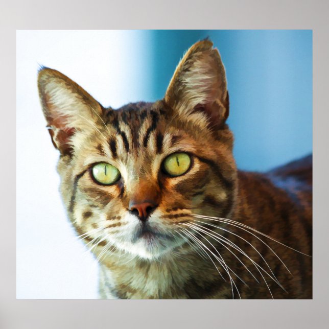 Póster Problema (Frente)