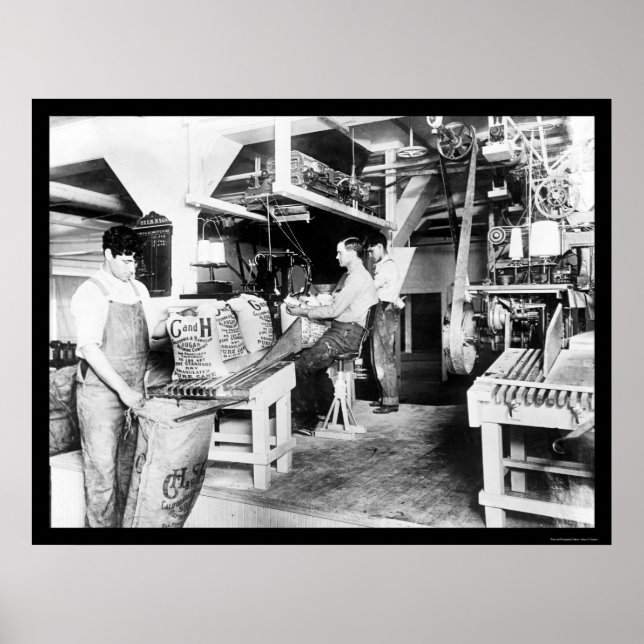 Poster Processamento de Açúcar C & H 1914 (Frente)